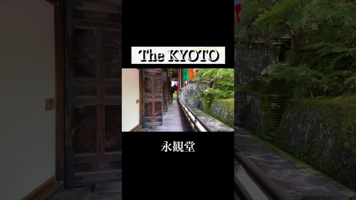 [京都|Kyoto]新緑の美しい"永観堂"を散策｜Kyoto "Eikan-dō Temple" Walking Tour
