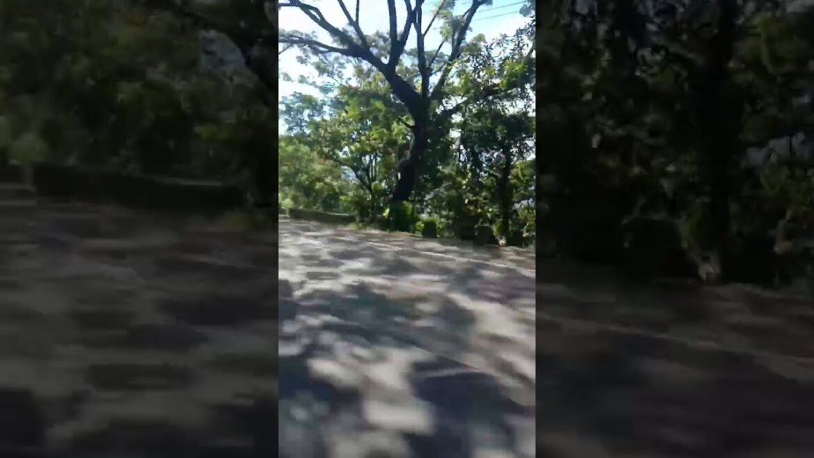 #shorts | sri lanka mountains travel road | #youtubeshorts 🤩😍 | #short | travel world shorts