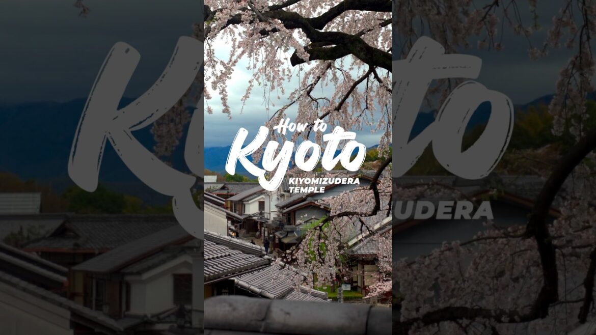 Kyoto feels - Kiyomizudera #kyoto #travel #kiyomizudera