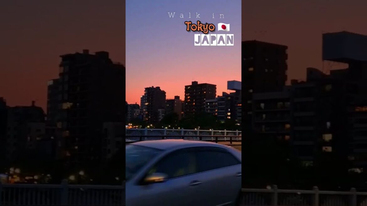 Tokyo Japan | Walking tour Tokyo Japan | Walking tour