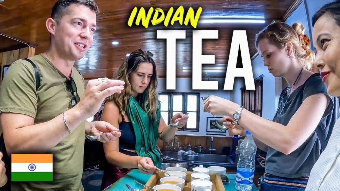 LOCAL INDIAN MAN shows me the REAL Darjeeling (World’s BEST Tea?) 🇮🇳 LOCAL INDIAN MAN shows me the REAL Darjeeling (World's BEST Tea?) 🇮🇳