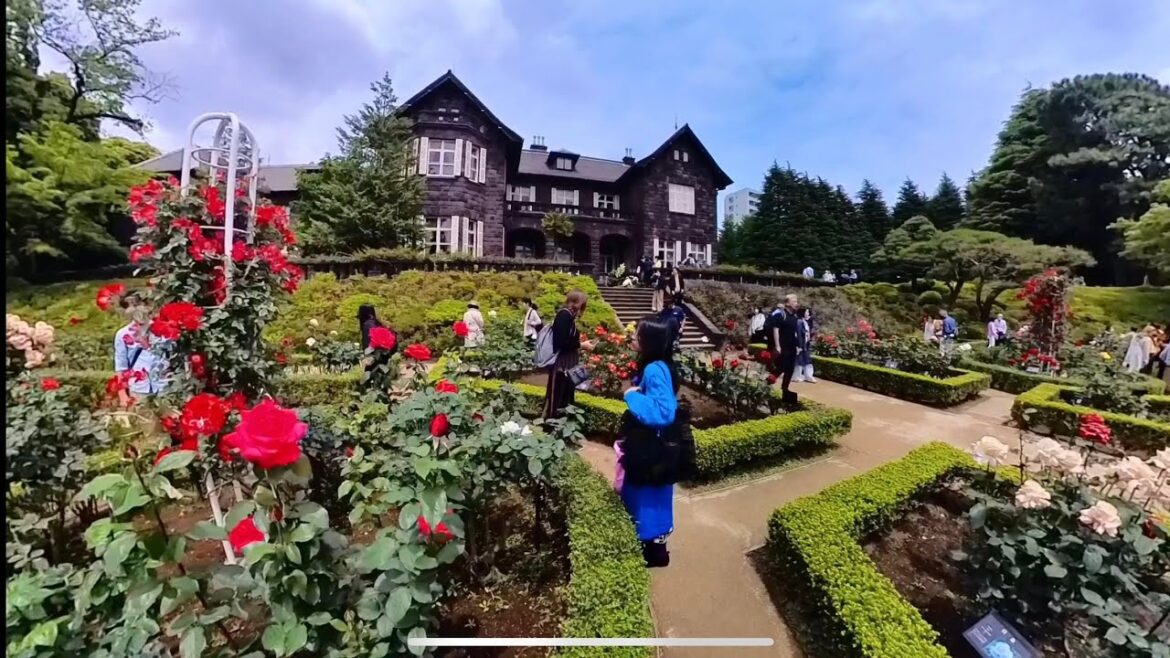Spring Rose Garden Festival | Kyu Furukawa Gardens #japan #japanesegardens #japantravel Spring Rose Garden Festival | Kyu Furukawa Gardens #japan #japanesegardens #japantravel