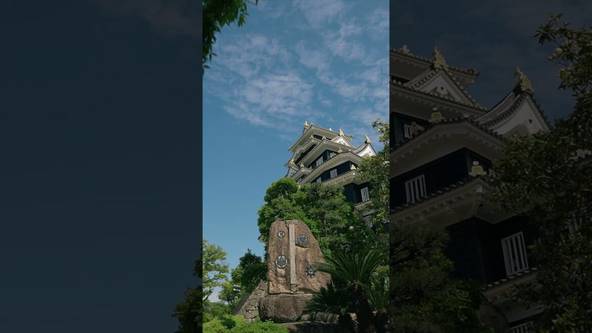 Okayama Castle 岡山城, Okayama Prefecture Japan #shorts Okayama Castle 岡山城, Okayama Prefecture Japan #shorts