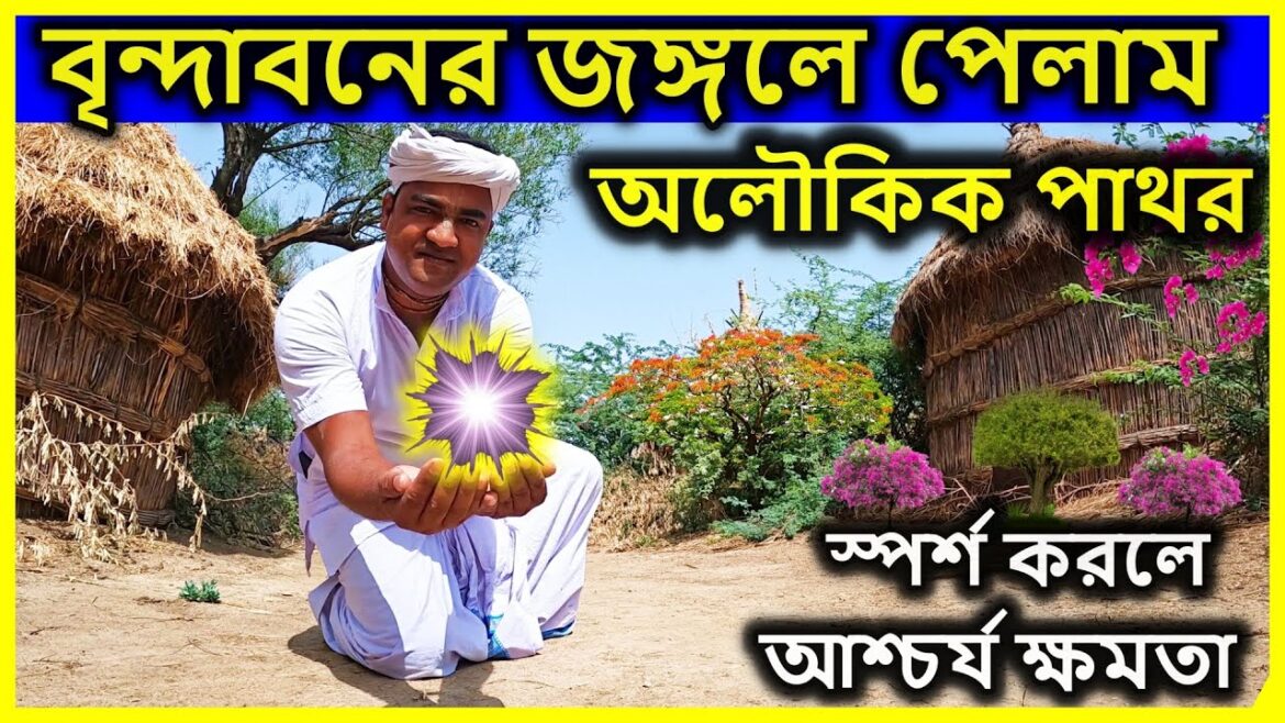 বৃন্দাবন ধাম, জঙ্গলে পেলাম অলৌকিক পাথর, স্পর্শ করলেই ম্যাজিক। বৃন্দাবন ধাম দর্শন, vrindavan vlog বৃন্দাবন ধাম, জঙ্গলে পেলাম অলৌকিক পাথর, স্পর্শ করলেই ম্যাজিক। বৃন্দাবন ধাম দর্শন, vrindavan vlog