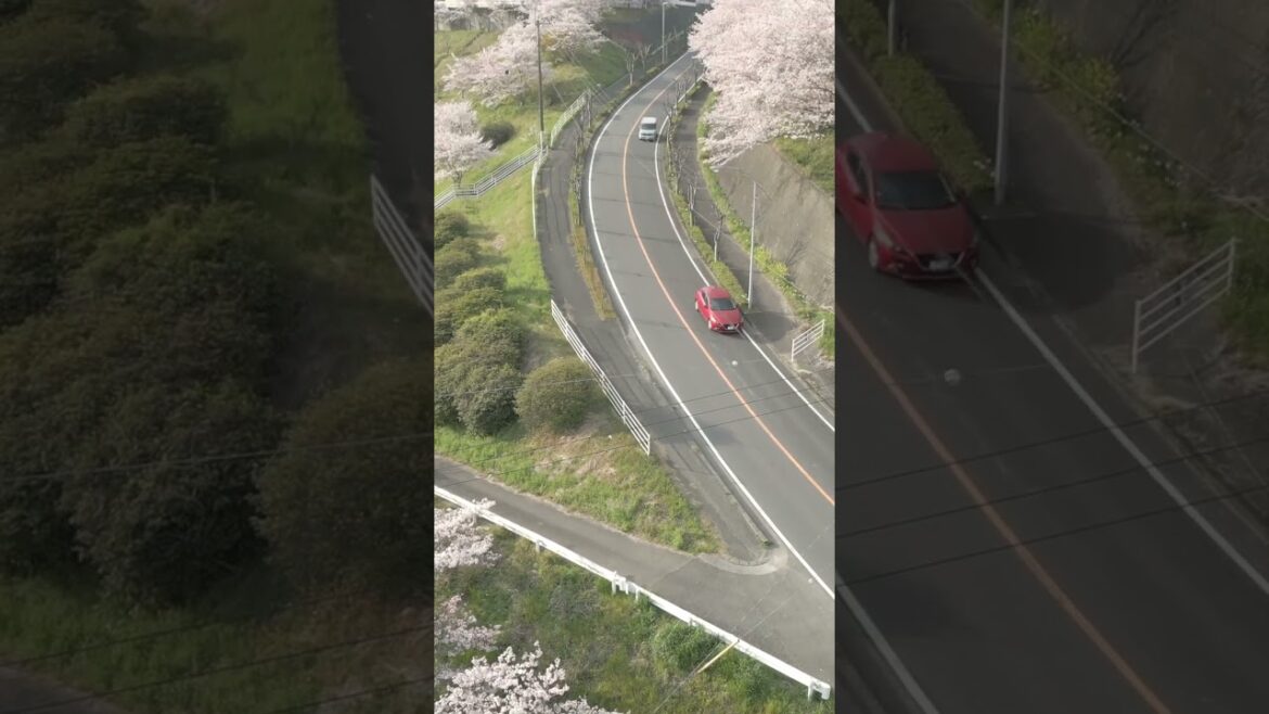 Drone x Japan - Ehime #shorts #japan #drone