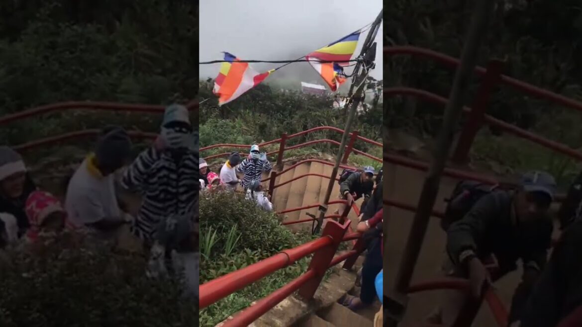 #shorts | sri pade sri lanka travel | #youtubeshorts | #short 😍🤩