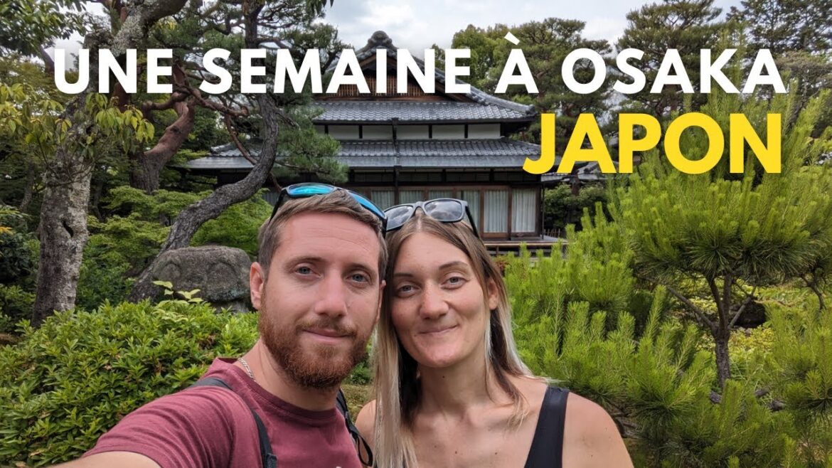 De l'aquarium d'Osaka à Nara : Nos meilleures découvertes au Japon