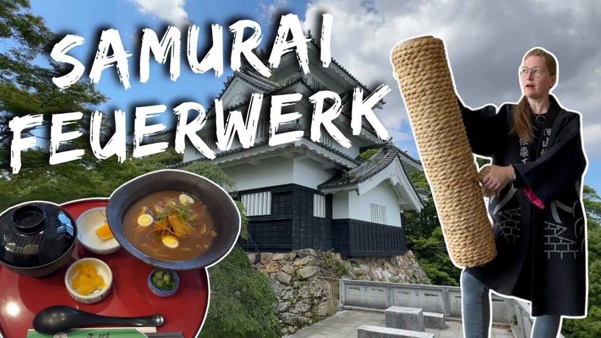 Unglaubliche Handfeuerwerke in Toyohashi