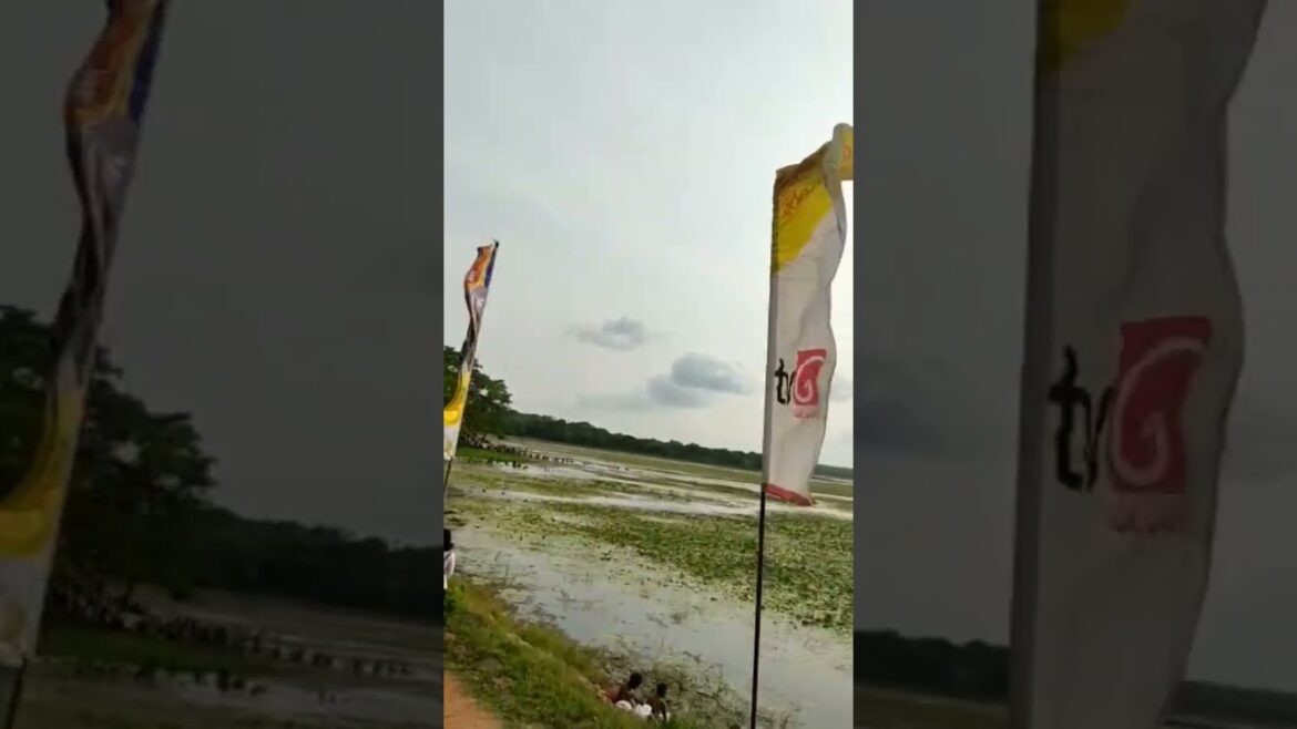 #shorts | People who visited poy day bathed in a lake | #youtubeshorts #short india train crowded #shorts | People who visited poy day bathed in a lake | #youtubeshorts #short india train crowded