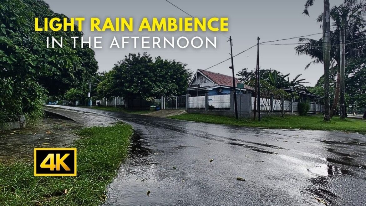 [4K] Light Rain Ambience In The Afternoon | Sound Of Raindrops On Umbrella For Sleep And Relaxation