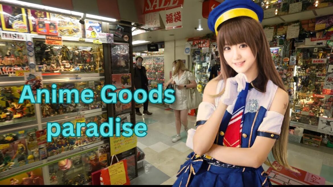 Exploring Tokyo's anime goods paradise