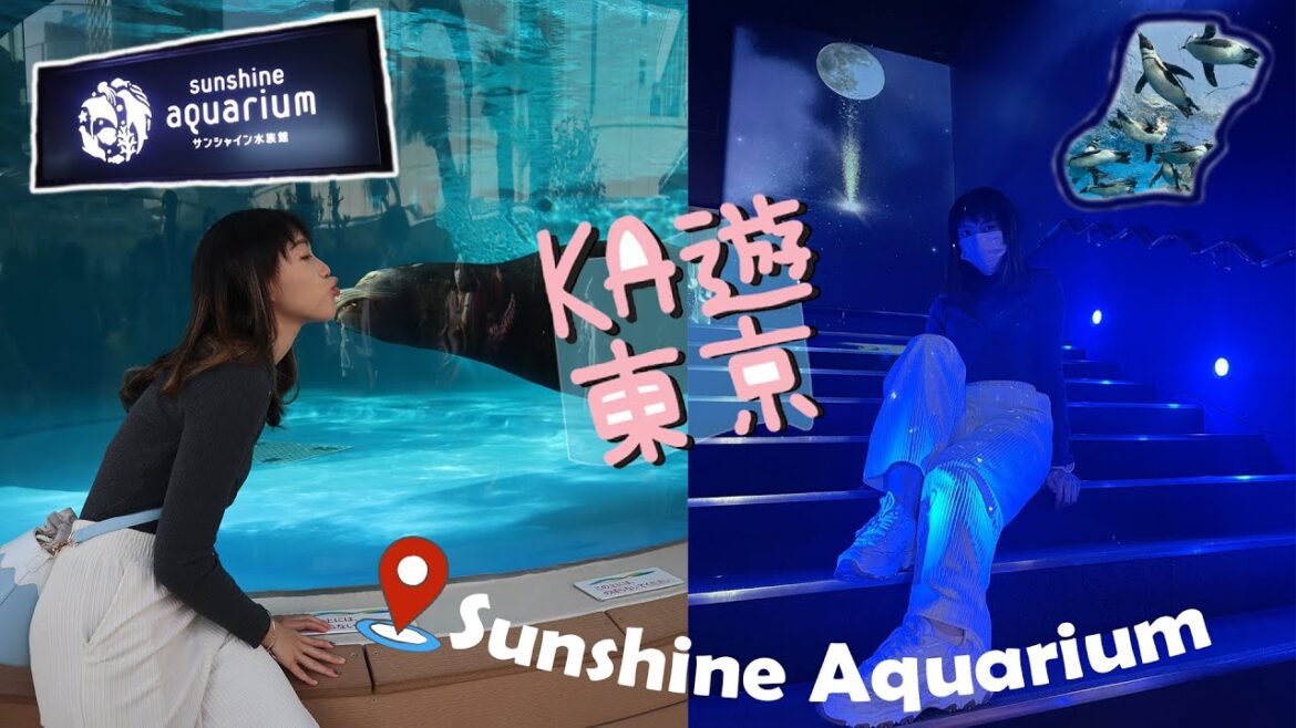 【KA遊東京】池袋 Sunshine city☀️ | Sunshine Aquarium 🐠🐬 【KA遊東京】池袋 Sunshine city☀️ | Sunshine Aquarium 🐠🐬