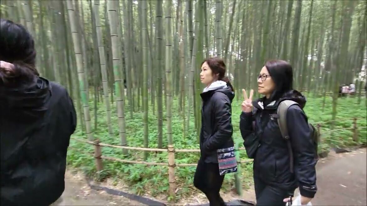 KYOTO Hidden Secret? ARASHIYAMA Japan - guide Bamboo, Temples and Monkeys