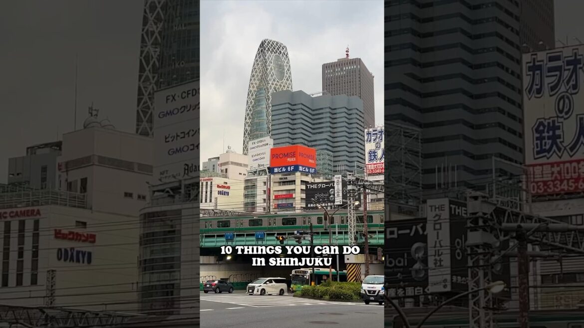 10 Things to do in Shinjuku