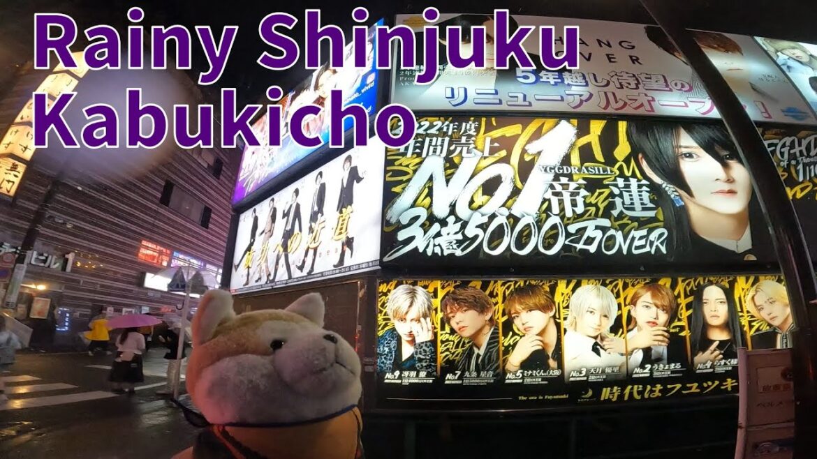 雨の夜の新宿歌舞伎町を犬散歩 ― Rainy Shinjuku Kabukicho Dog×2 Sleepless Town (May 2023) 雨の夜の新宿歌舞伎町を犬散歩 ― Rainy Shinjuku Kabukicho Dog×2 Sleepless Town (May 2023)