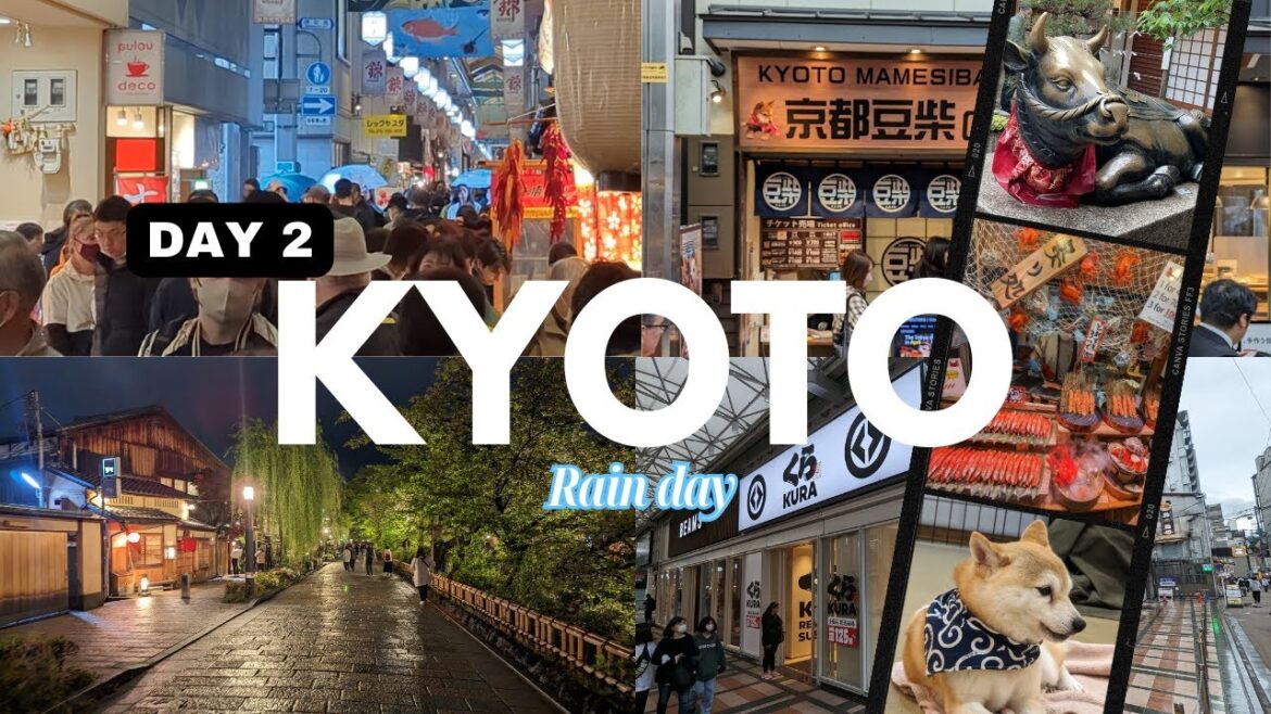 DAY 2 KYOTO – JAPAN 2023 DAY 2 KYOTO - JAPAN 2023