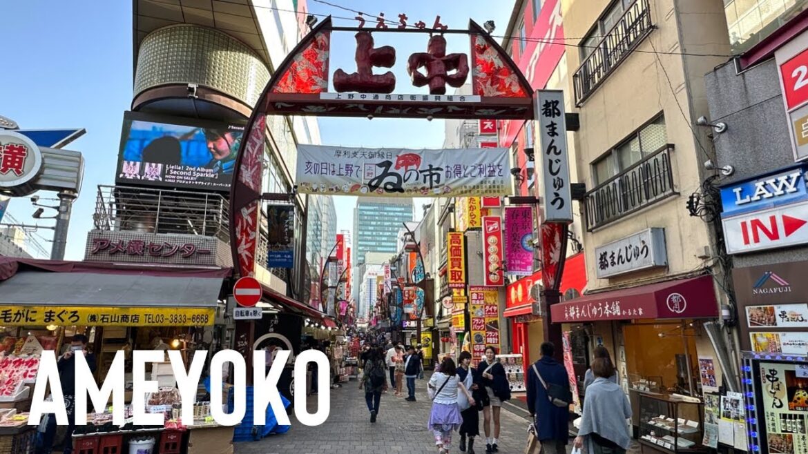 Ameyoko Shopping District - Ueno, Tokyo - 4K Japan