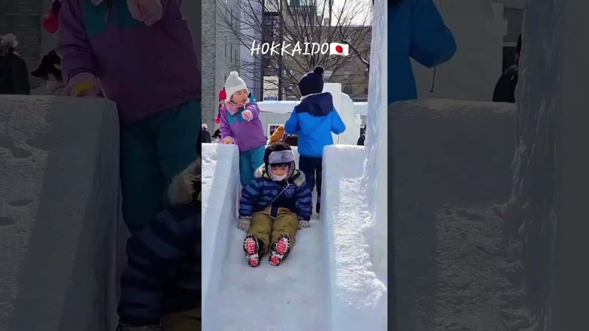 Hokkaido, Japan - Winter Festival 2023 (Part 1)
