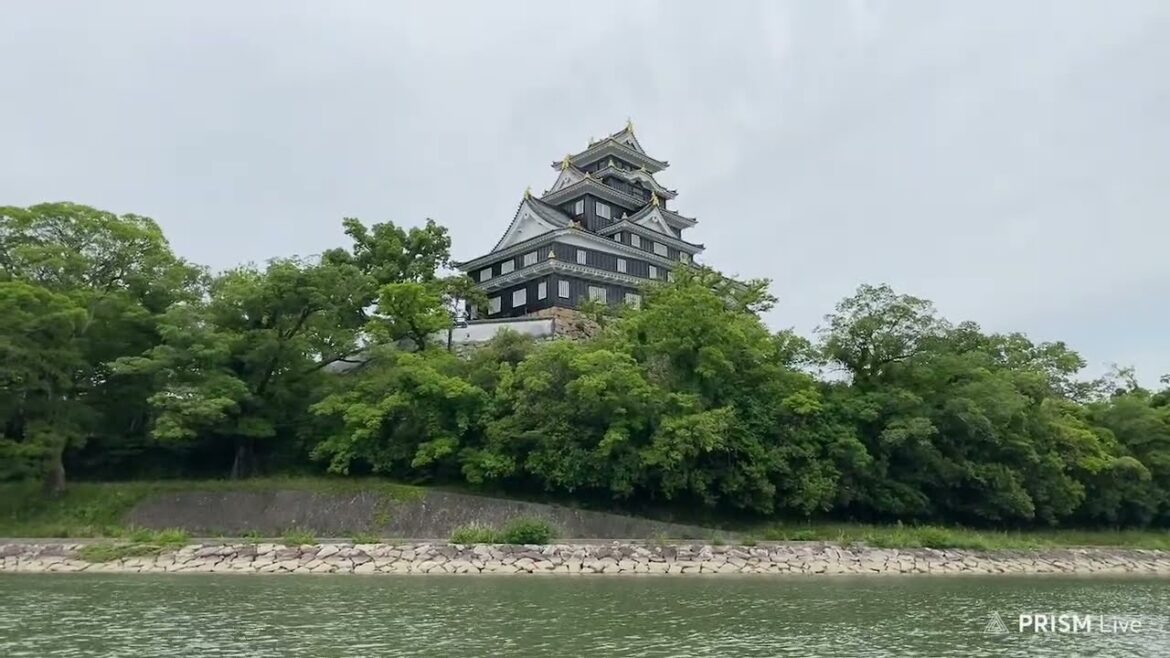 Cruising on the Asahi river Okayama 🇯🇵LIVE Walking in Japan Cruising on the Asahi river Okayama 🇯🇵LIVE Walking in Japan