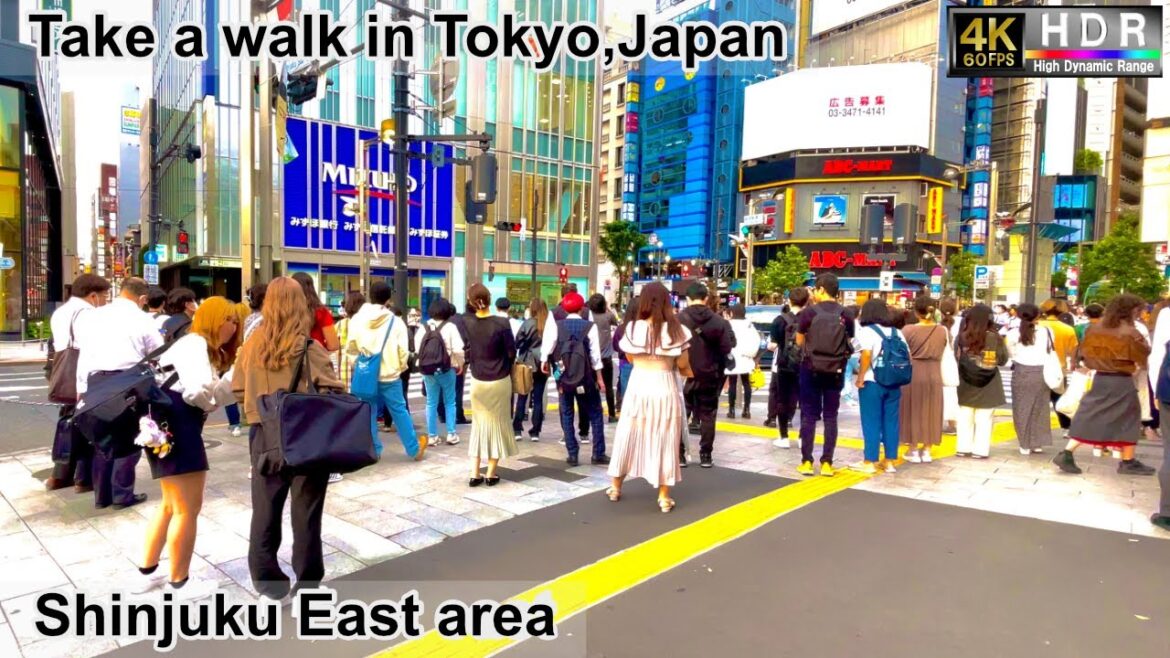 4K 60fps HDR// Take a walk in Tokyo, Japan,Shinjuku South Area→Shinjuku East area→Shinjuku Dori Ave.