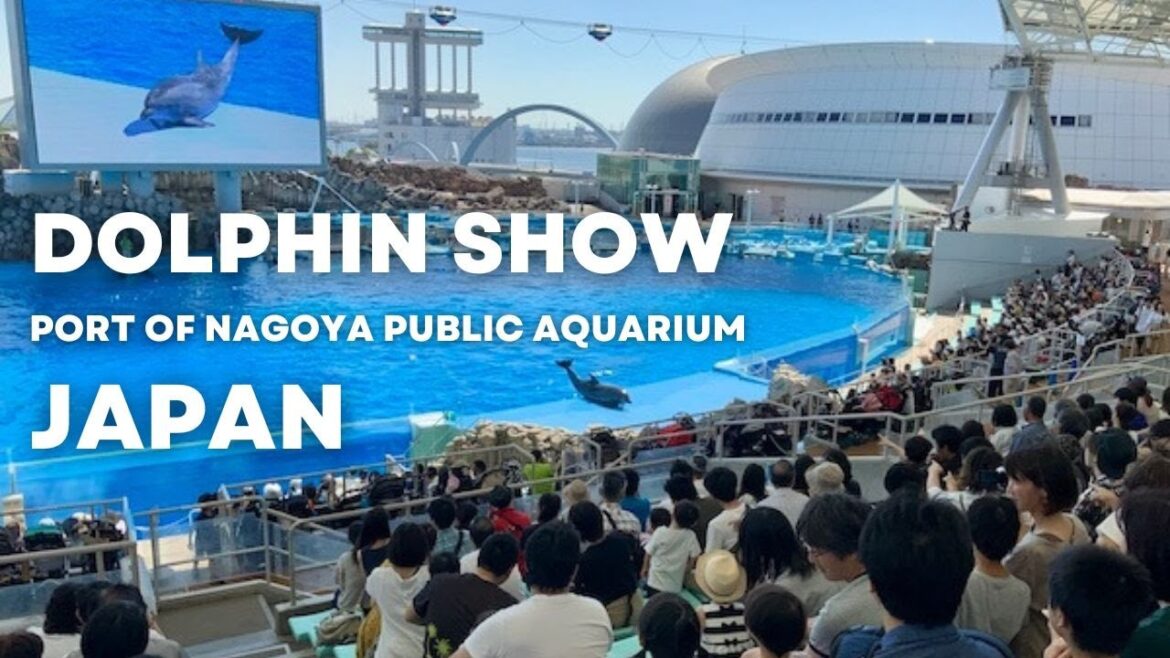 Dolphin Show, Port of Nagoya Public Aquarium, Japan