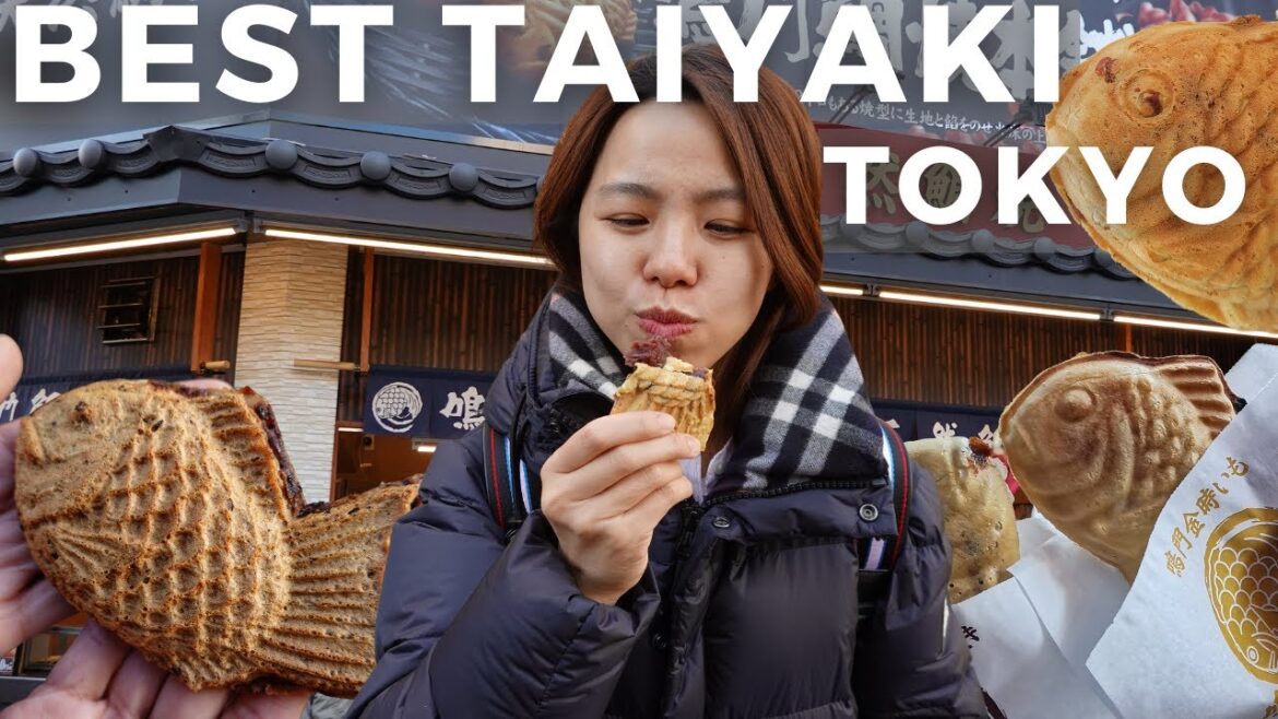 π―π΅ Eating ALL the FAMOUS TAIYAKIS in Tokyo! Finding the BEST TAIYAKI!! (EN/δΈζ SUB) π―π΅ Eating ALL the FAMOUS TAIYAKIS in Tokyo! Finding the BEST TAIYAKI!! (EN/δΈζ SUB)