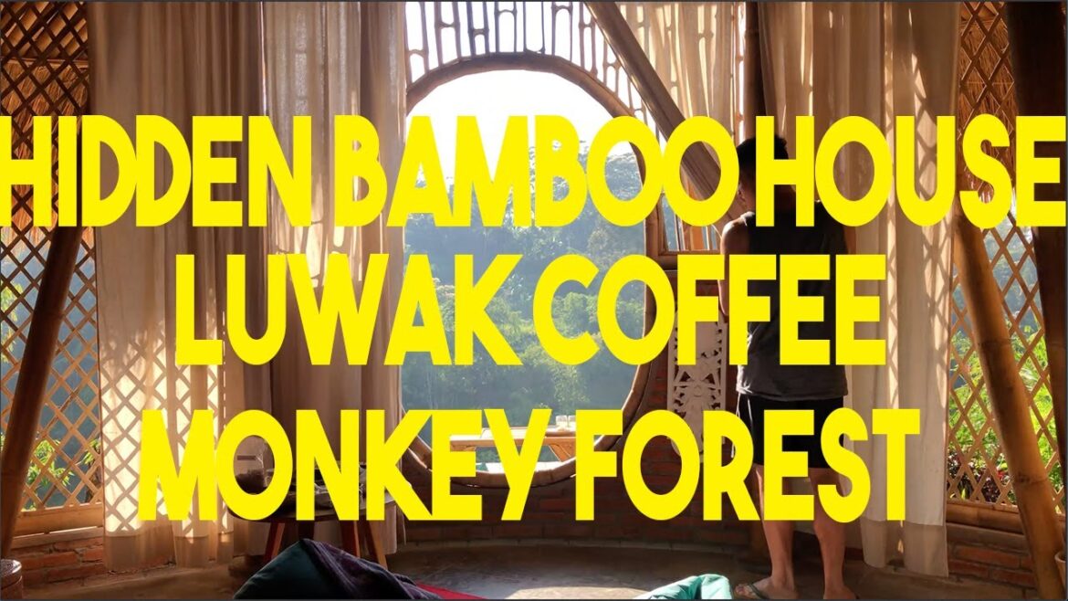 Bali Indonesia - Hidden Bamboo house Tampaksiring Monkey Forest Luwak Coffee Babi Guling Kuta Beach