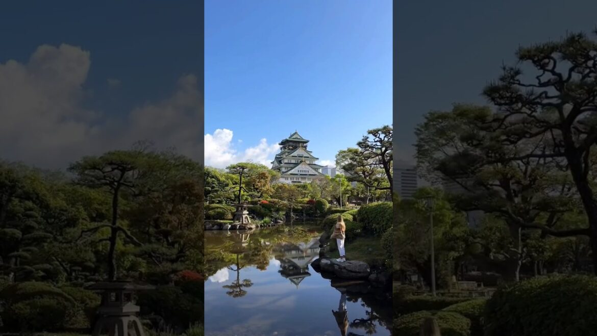 POV:you visit OSAKA castle😍|JAPAN🇯🇵|