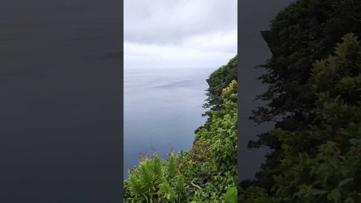 茅打ちバンタからの景色(梅雨シーズン)