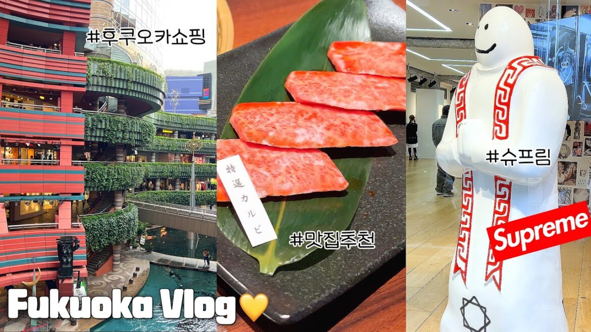 [일본여행] ✈️후쿠오카 갔다가 대낮에 귀신 본 여행vlog | 1박2일 여자혼자 일본여행 | 다이묘거리 쇼핑, 슈프림, 스투시, 나카스맛집, 명란덮밥, 오호리공원, 모모치해변