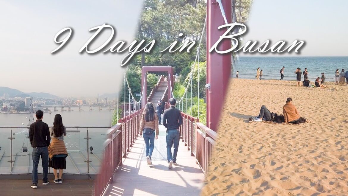 9 days in Busan — Korea⛩️ Explore Korea Trip Travel Vlog (Busan Recap)