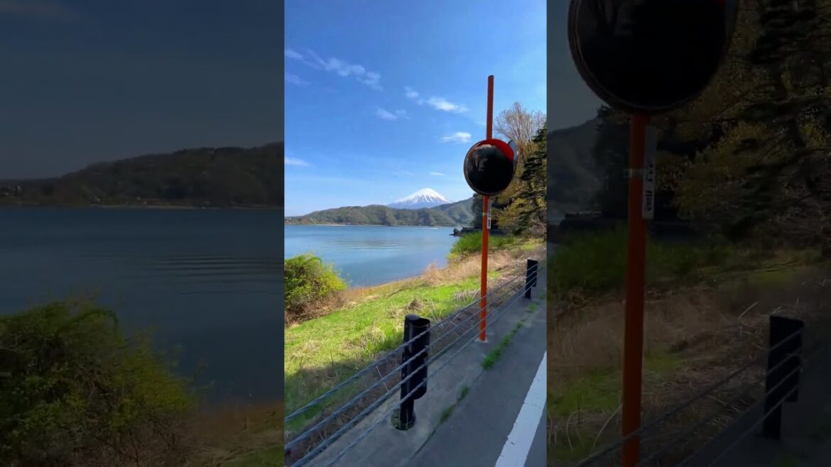 Cycling around the Kawaguchiko Lake