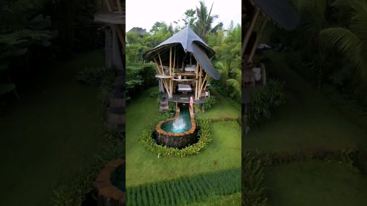 Would you replace your coffee with this?#bali #villa #veluvana #shorts #ytshorts
