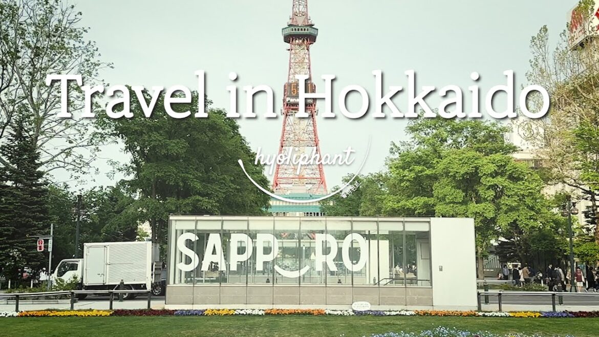 결혼 10주년, 수고한 당신과 나에게 주는 선물_북해도 3박4일 여행