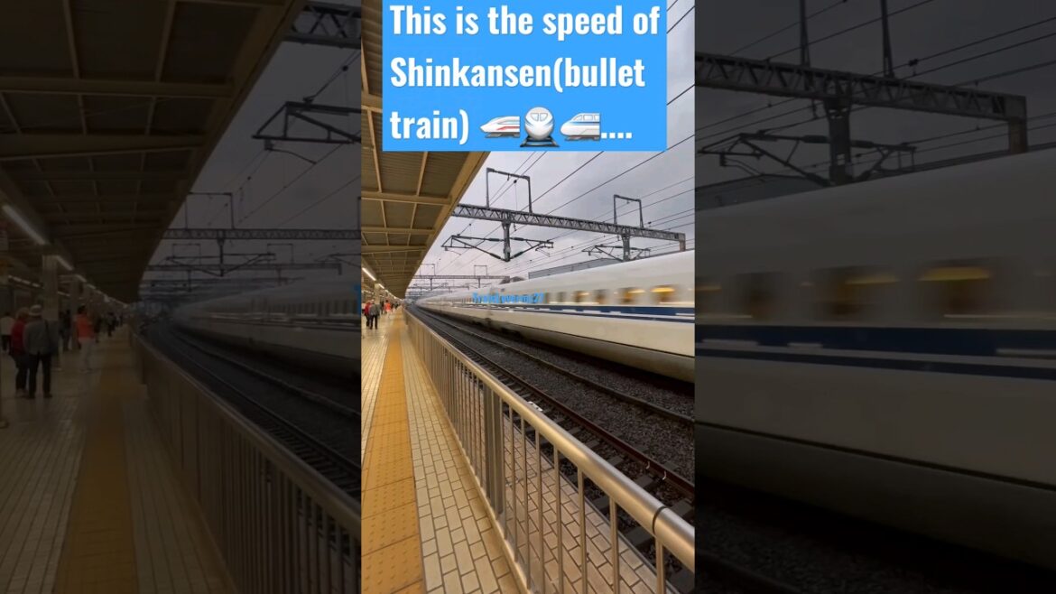 Shinkansen (bullet train) #train #shortvideo #youtubeshorts #transportation #travel #shorts Shinkansen (bullet train) #train #shortvideo #youtubeshorts #transportation #travel #shorts