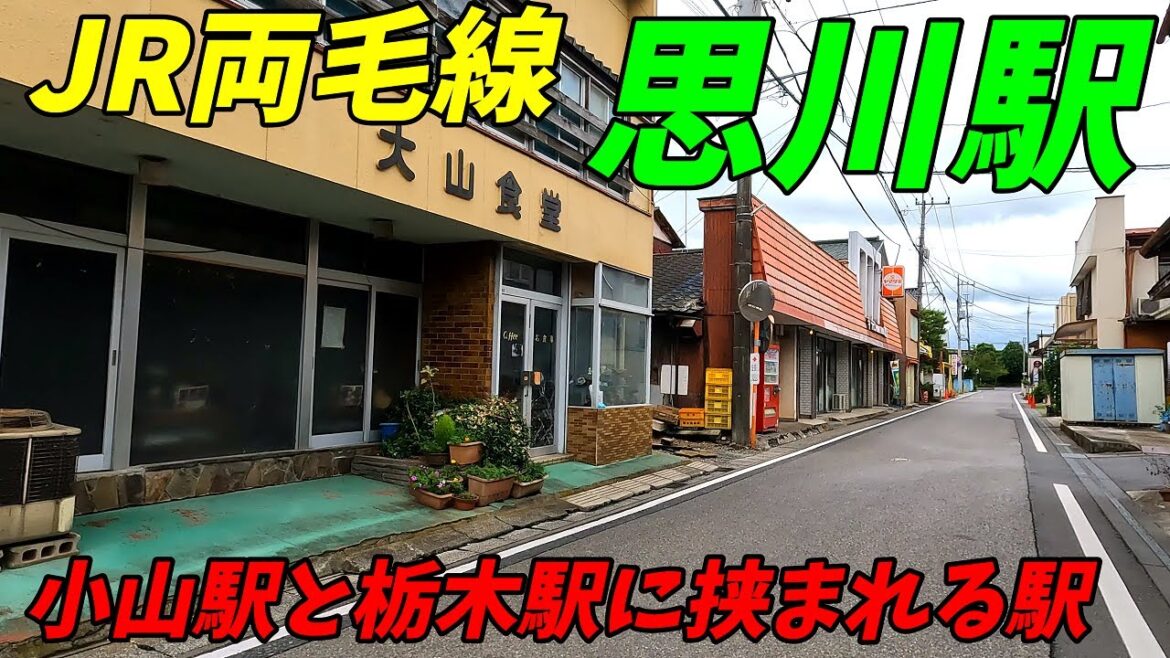 JR両毛線、思川駅周辺＆構内を散策！栃木県小山市(Japan Walking around Omoigawa Station)