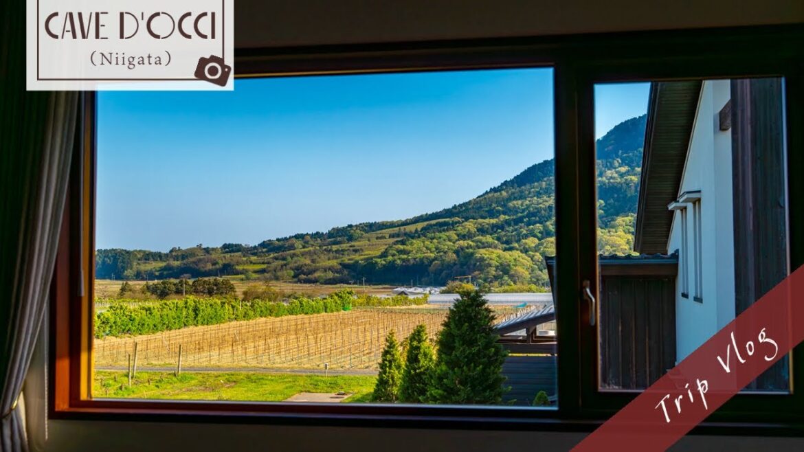 The Vineyard Retreat in Niigata, Japan.π
 Wine, Spa, and the Luxurious Meal.π· The Vineyard Retreat in Niigata, Japan.π
 Wine, Spa, and the Luxurious Meal.π·