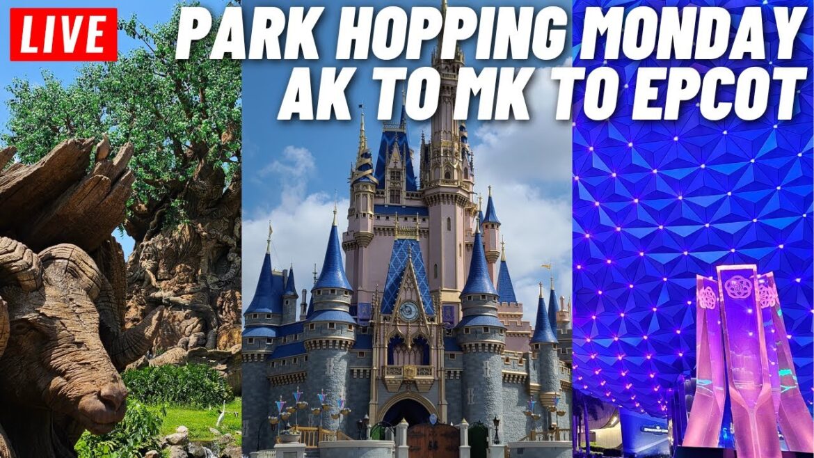 🔴 LIVE: 3 Park hopping around Disney World Animal Kingdom, Magic Kingdom, Epcot 6/5/2023 🔴 LIVE: 3 Park hopping around Disney World Animal Kingdom, Magic Kingdom, Epcot 6/5/2023