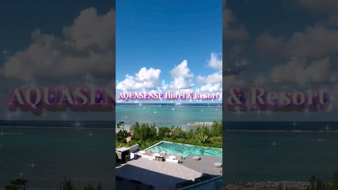 【全室ジャグジー付ホテル!】更にスイートはプライベートプール付き!#沖縄旅行 #プール #アクアセンスホテル #AQUASENSE 【全室ジャグジー付ホテル!】更にスイートはプライベートプール付き!#沖縄旅行 #プール #アクアセンスホテル #AQUASENSE