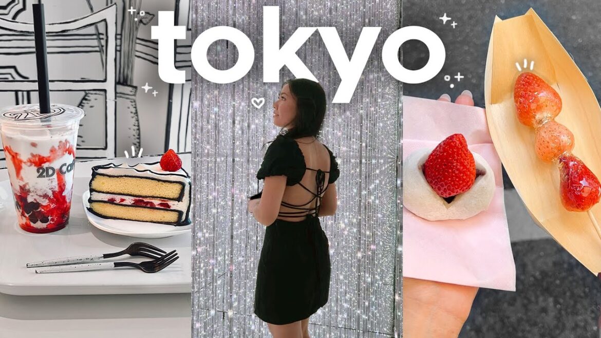 TOKYO DIARIES 🍰 Japan Travel Vlog | teamLab Planets, 2D Cafe, Tsukiji Outer Market