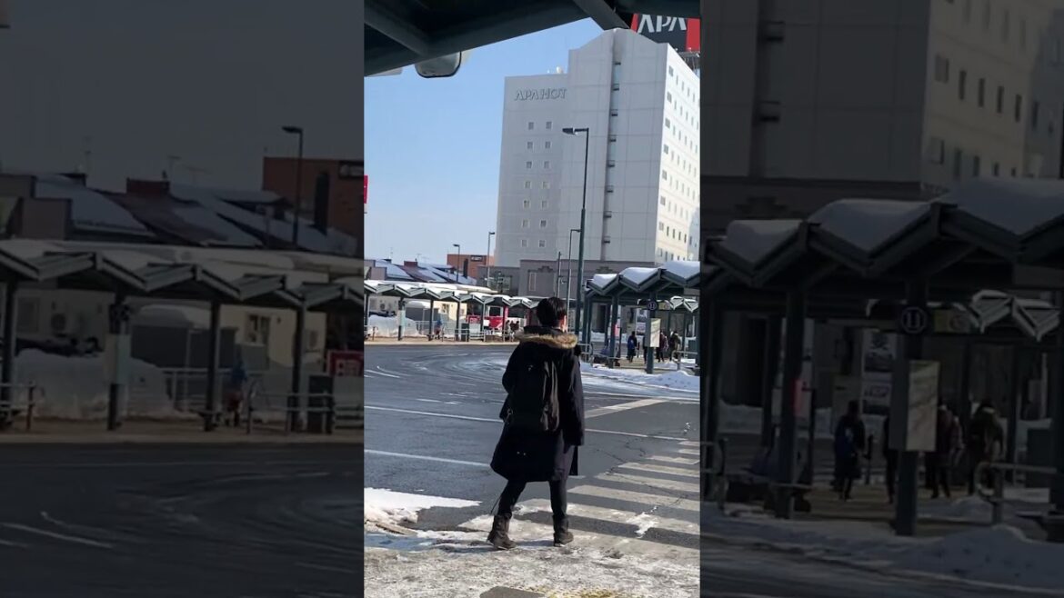 Llego a Obihiro y paseo: Hokkaido, Japón #shorts