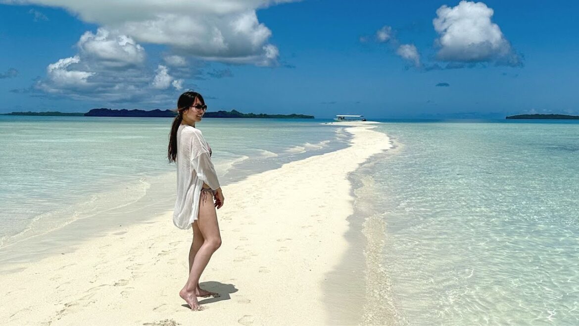 Joining a Tour for Milky way & Long Beach in Palau / Snorkeling, Island Hopping / Travel Vlog