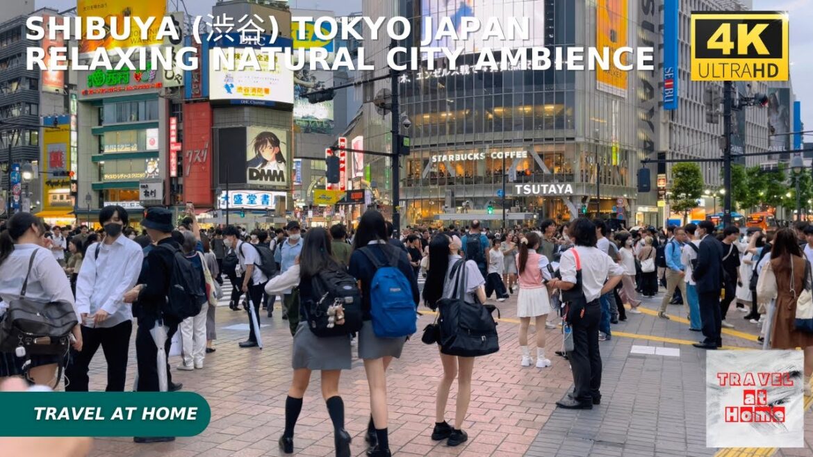 4k hdr japan travel | Night Walk in Shibuya (渋谷) Tokyo japan |  Relaxing Natural City ambience