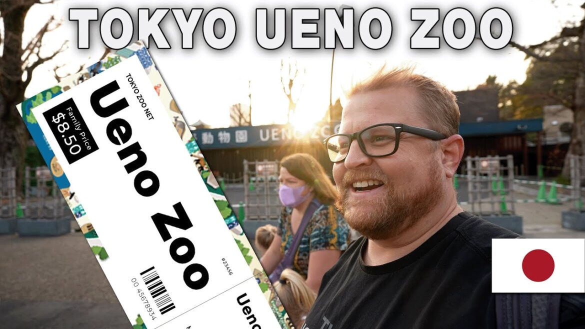 Cheap Family Day Out in Tokyo: Ueno Zoo for $8.50! Cheap Family Day Out in Tokyo: Ueno Zoo for $8.50!