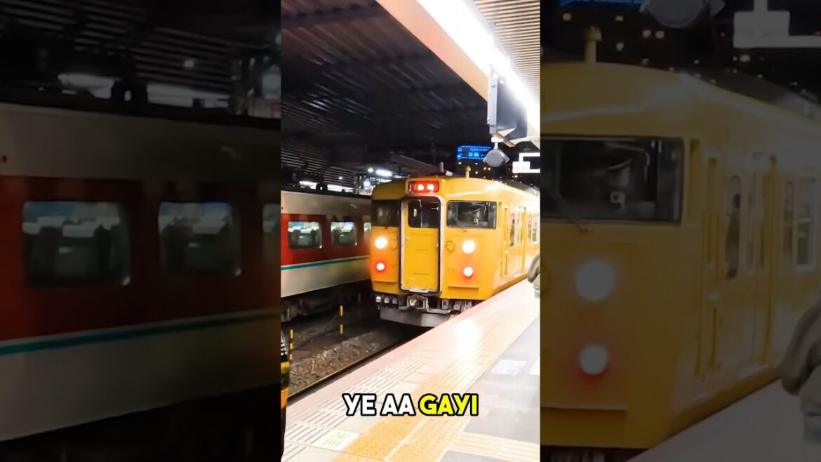 Sleeping with the Japanese In Japan Overnight Train #shorts #train #japan