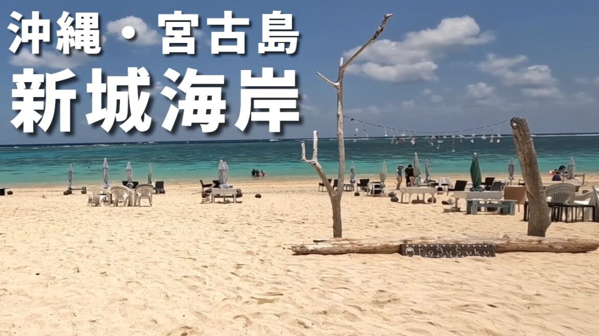 【観光スポット】初めての沖縄!ウミガメと泳げるビーチ「宮古島・新城海岸」でシュノーケリングしてみたら遭遇率100%だった・・・!【沖縄・宮古島】【夫婦旅行】 【観光スポット】初めての沖縄!ウミガメと泳げるビーチ「宮古島・新城海岸」でシュノーケリングしてみたら遭遇率100%だった・・・!【沖縄・宮古島】【夫婦旅行】