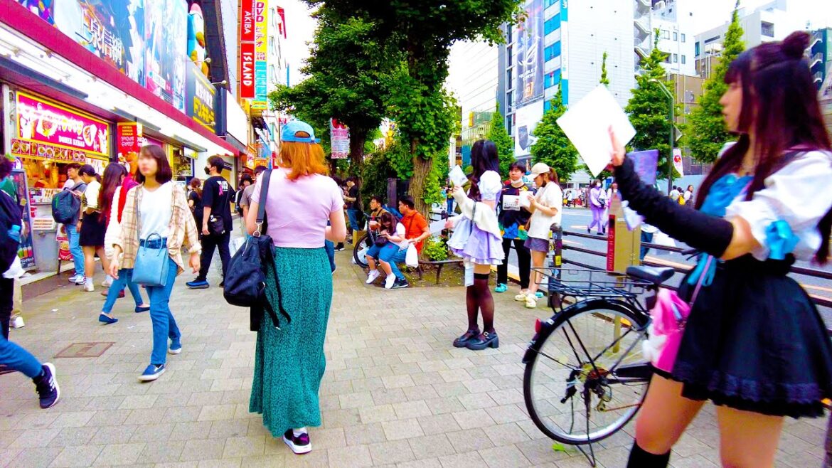 Akihabara in Tokyo 🐶🍻Anime pedestrian paradise ♪💖4K ASMR non-stop 1 hour 01 minutes Akihabara in Tokyo 🐶🍻Anime pedestrian paradise ♪💖4K ASMR non-stop 1 hour 01 minutes
