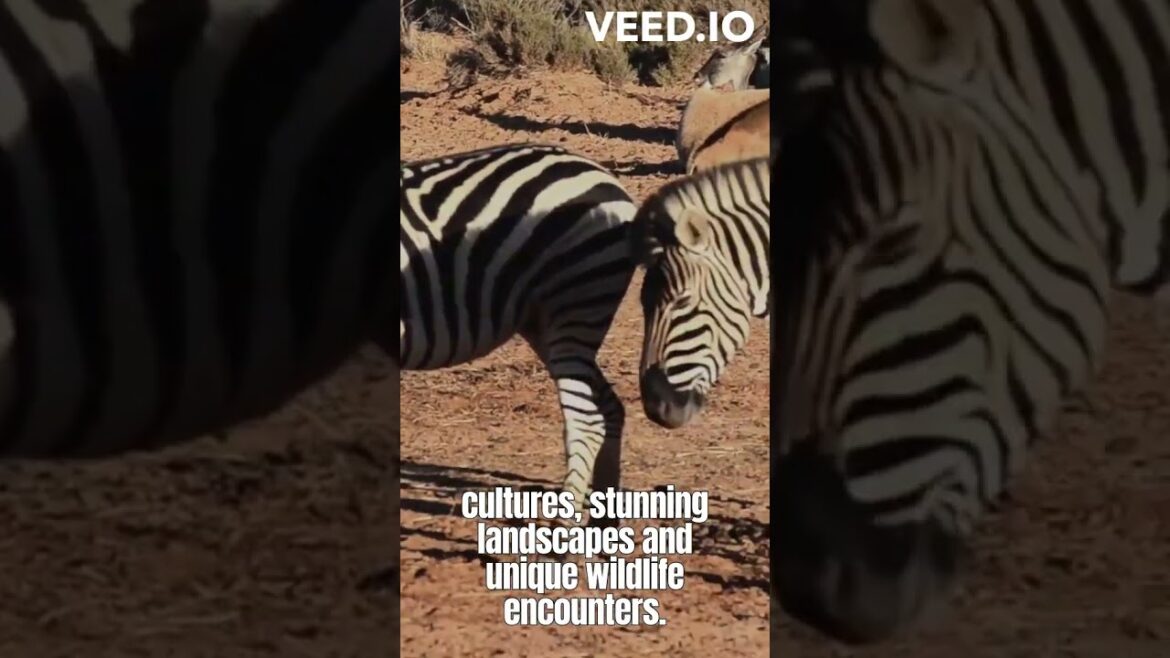 Best travel destinations in 2023! #shorts