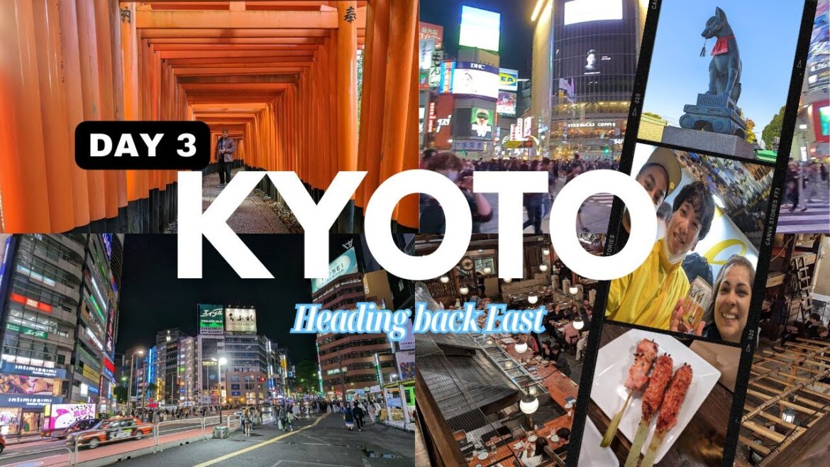DAY 3 KYOTO – JAPAN 2023 DAY 3 KYOTO - JAPAN 2023