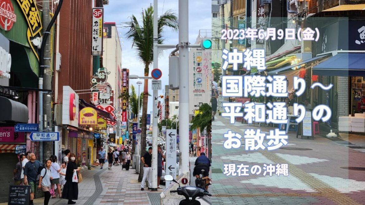 沖縄・国際通り～平和通りのお散歩 2023/6/9